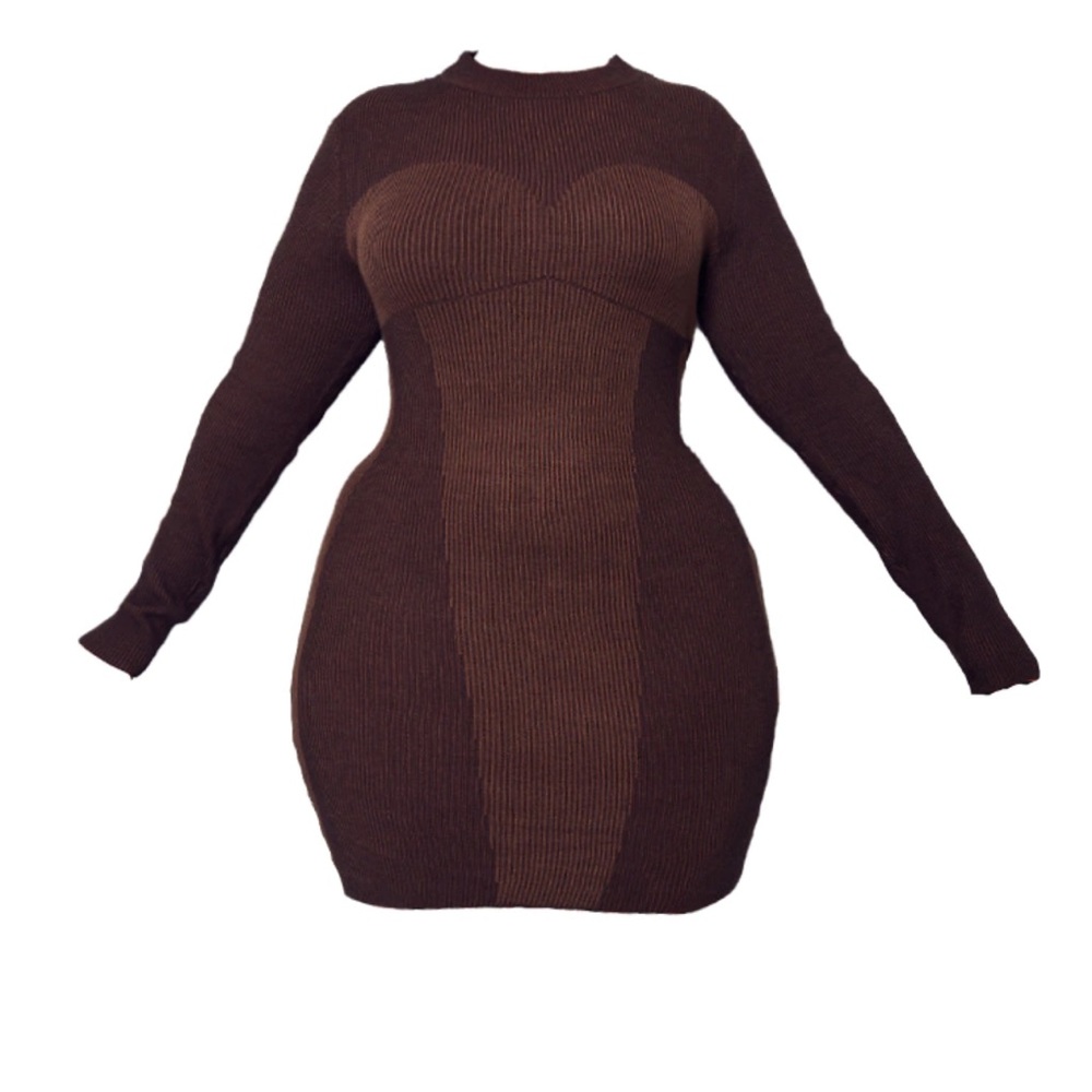 Plus size two tone contrast dress.